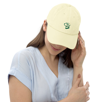 Pastel Lab Cap