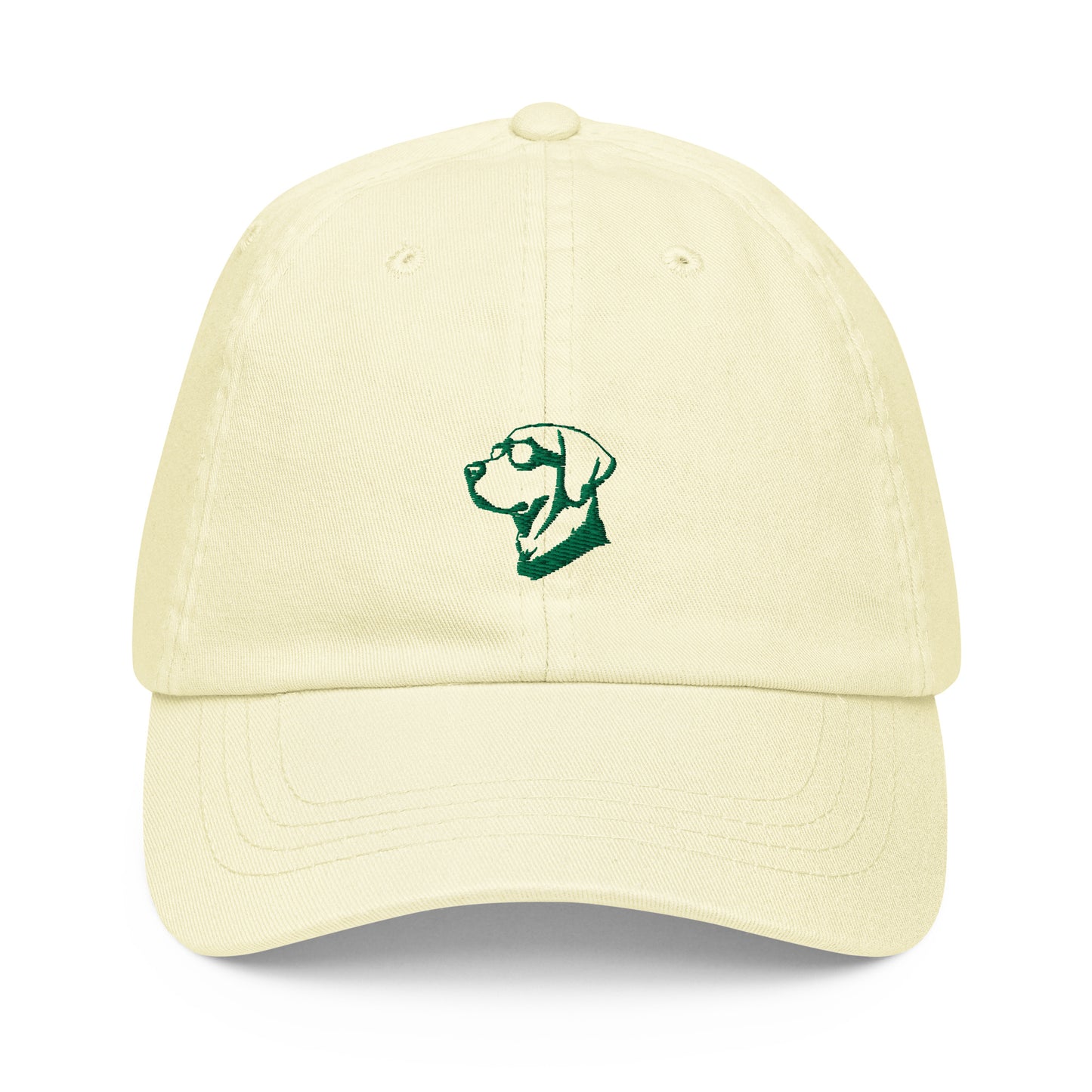 Pastel Lab Cap